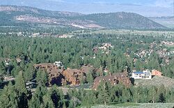Forested area with buildings interspersed looking toward a hill.