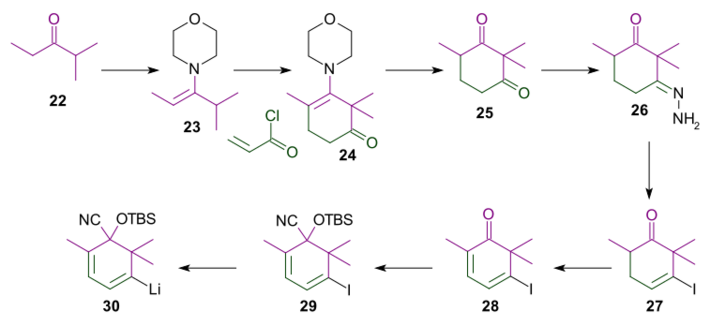 Danishefsky A ringnexportew.svg