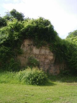 Kalksteengroeve Midweg.jpg