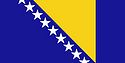 Flag of Bosnia and Herzegovina.jpg
