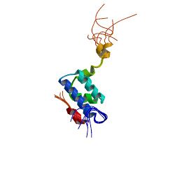 PBB Protein TOMM20 image.jpg