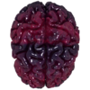 Jellybrain.png