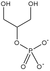 Glycerol-2-phosphateDianion.svg