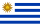 icône décorative