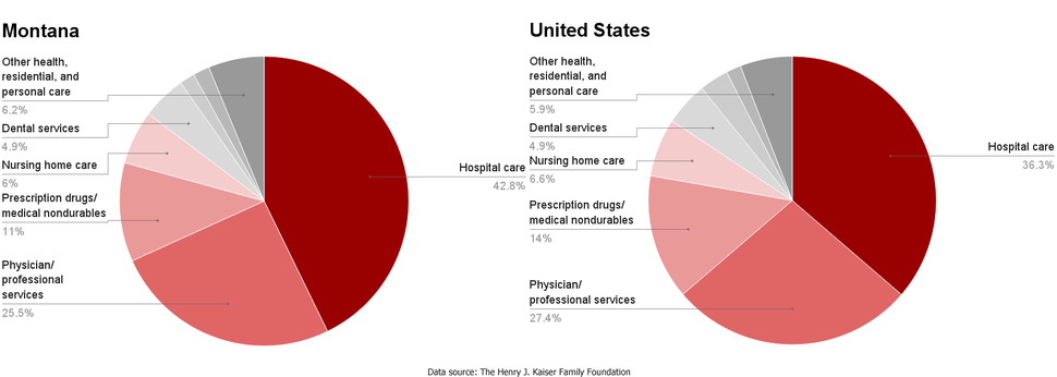 MT-US healthcare spending by service.png