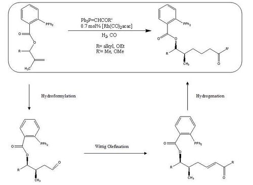 Carbonylation1.JPG