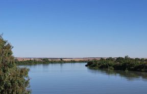 Murray River at Murray Bridge