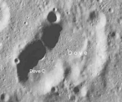 Dove - LROC - WAC.JPG