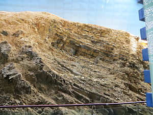 Maotianshan shale outcrop.JPG
