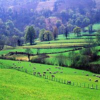 Basque Country France.jpg