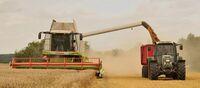 Combine harvester cuts the wheat stems, threshes the wheat, crushes the chaff and blows it across the field, and loads the grain onto a tractor trailer.