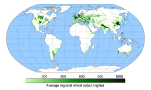 Wheat-growing areas of the world