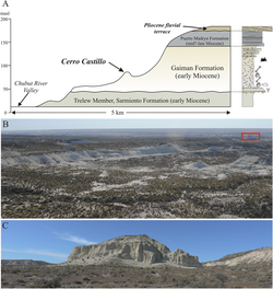 Cerro Castillo stratigraphy.png