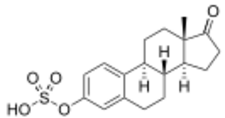Estrone sulfate.svg