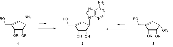 Linear & Convergent Synthesis of Carbocyclic Nucleosides