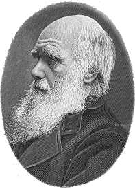 charles darwin's theory of evolution