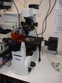 Inverted microscope.jpg