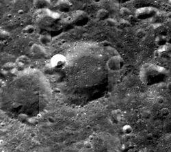 Normal demoraes-large.jpg