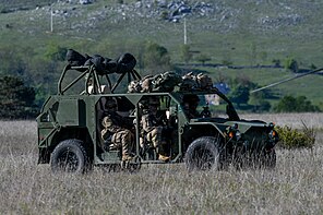 A-GMV during exercise Immediate Response 19.jpg