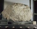 Apollo 16's sample 61016, better known as Big Muley, is the largest sample collected during the Apollo program