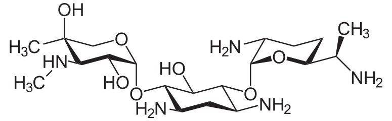 Chemical structure of gentamicin