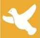 Holy Spirit dove.jpg