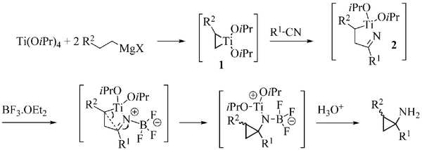 Szymoniak variation reaction mechanism