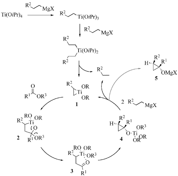 Reaction mechanism