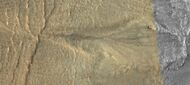 Gully, as seen by HiRISE
