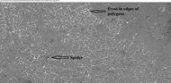 Spiders and frost in polygons during northern spring, as seen by HiRISE under HiWish program.