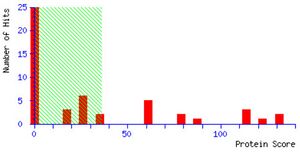 Mascot protein score histogram