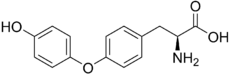 Skeletal formula of L-thyronine