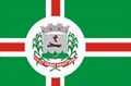 Flag of Grão Pará, Santa Catarina