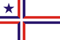 Flag of Palotina, Pará