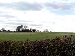 Mount Pleasant Henge - April 2015.jpg