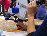 Zeiss Discovery.V8; continuously variable magnification, controlled by the large blue knob