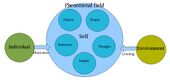 Phenomenal field theory