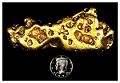 A gold nugget, and an American dime for scale.