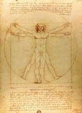 The Vitruvian Man (c. 1485) Accademia, Venice