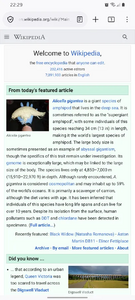 Firefox 145 on Android