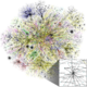 Map of the Internet