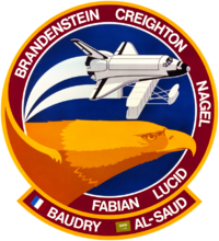 Sts-51-g-patch.png