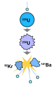A diagram showing a chain transformation of uranium-235 to uranium-236 to barium-141 and krypton-92