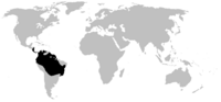 Distribution of Dendrobatidae (in black)