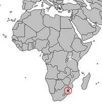 Location of Swaziland.png