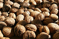 Walnuts.jpg