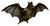 Vampire bat white background.jpg