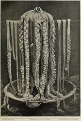 #30 (25/11?/1873) The Logy Bay giant squid draped over Reverend Moses Harvey's sponge bath, November or December 1873. The original photographs (as opposed to line drawings thereof) were apparently not published until much later; the present one is taken from the April 1899 issue of The Wide World Magazine (Harvey, 1899:737, fig.), where it was captioned "Dr. Harvey's immense octopus [sic]".