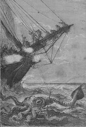 #18 (30/11/1861) Engraving by Henri Théophile Hildibrand from Twenty Thousand Leagues Under the Sea (1871), whose depiction of the giant squid was undoubtedly inspired by the Alecton encounter.[3] Bernard Heuvelmans's The Kraken and the Colossal Octopus incorrectly described this illustration as "[t]he Alecton squid after Arthur Mangin, 1864".[301]