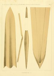 #14 (5/11/1855) Gladius (internal shell remnant) of the same specimen (Steenstrup, 1898:pl. 4)